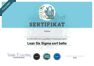 Lean Six Sigma Sort belte sertifikat