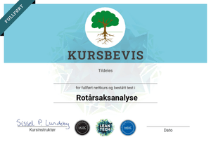 Kursbevis rotårsaksanalyse