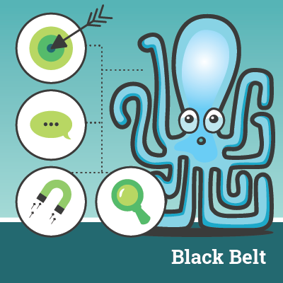 BlackBelt LeanSixSigma