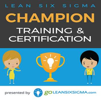 champion leansixsigma